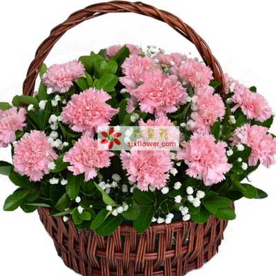 母親節(jié)訂花服務(wù) 臺(tái)州路橋區(qū)花店為您傳遞愛的溫暖