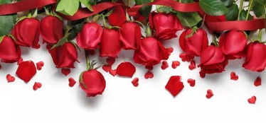 2018年度云南省綠色食品“十大名品”評選結果公示