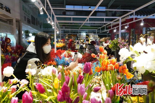 唐山鳳凰花卉市場躋身中國商品市場峰會時尚市場30強，彰顯辦公用品多元化魅力