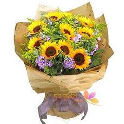 x618 時尚鮮花網花卉品種的全面解析