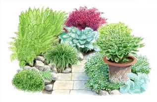 愛世園小伙伴 花境小科普，為迎接花卉盛宴做準備