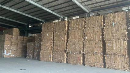 夯實前端回收，轉變模式再出發 劉磊在第七屆中國回收紙行業大會的探索之路