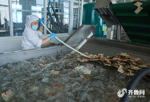 榮成 海洋食品生產加工忙