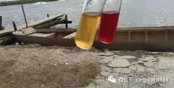 池塘養(yǎng)殖中,水質(zhì)指標如何判斷