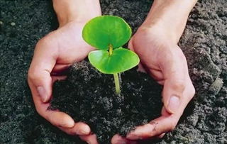 作物全程管理 新朝陽健康植保分享 關(guān)于微生物肥料的幾個關(guān)鍵問答