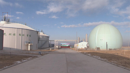 【奮進新征程 建功新時代】高臺:企業產銷旺 虎年“虎勁”足