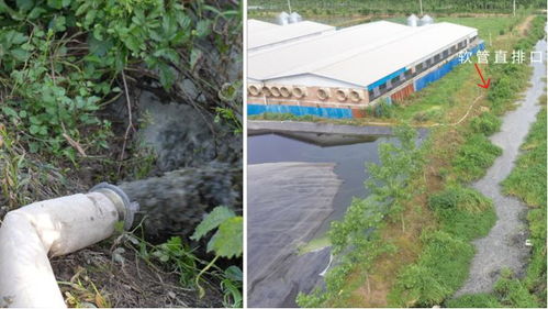 典型案例 湖北省洪湖水環境水生態狀況持續下滑