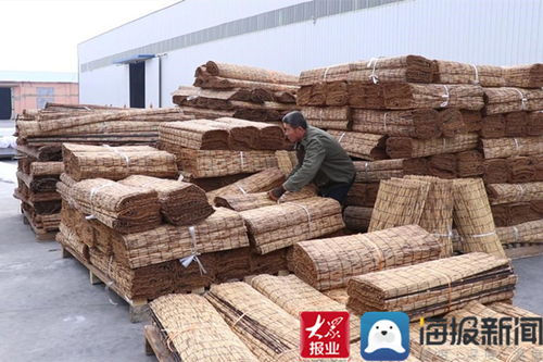 年味里看發展⑨ 立足產業特色 持續做優做強 無棣縣水灣鎮成為 全國最大的葦簾加工出口基地