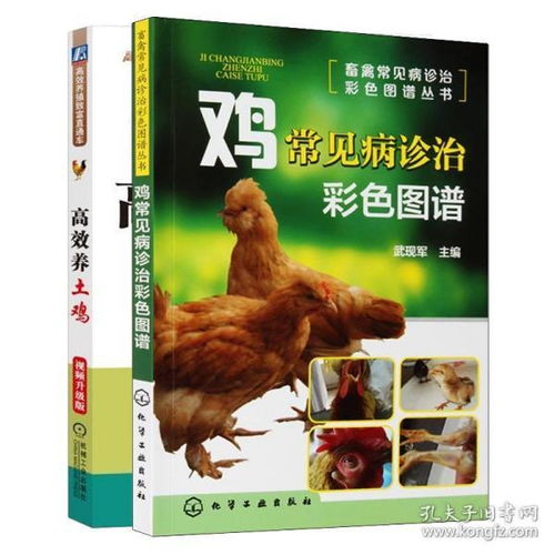 正版 雞常見病診治彩色圖譜 高效養土雞視頻升級版常見病診治彩色圖譜 養雞科學養殖技術教程大全土雞自學入門教程