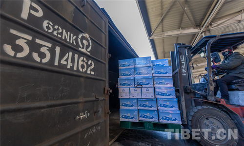 湖北加油 西藏籌集價值850萬的天然飲用水和牦牛肉馳援湖北