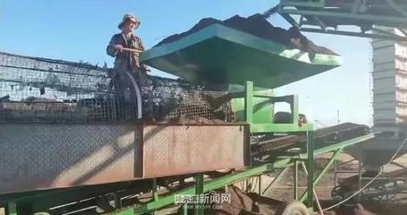 雙城區新型育苗基質研發成功|解決水稻果蔬育苗生產難題