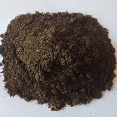 柑橘施肥可使用發酵牛羊糞