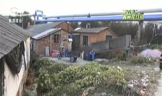 糞便污水隨意外排,桃源畜禽養殖污染等環境問題突出