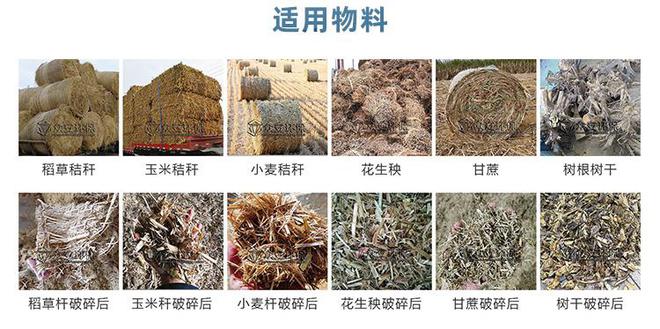 生物質向替代燃料的轉化之路