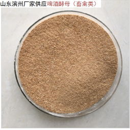 山東濱州廠家啤酒酵母畜禽類價格 山東濱州廠家啤酒酵母畜禽類型號規格