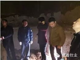 增鑫牧業赴韓國ymi公司學習交流報道