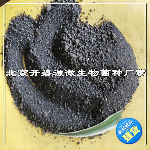 【養殖廢水處理菌種價位荊門國標菌種】-