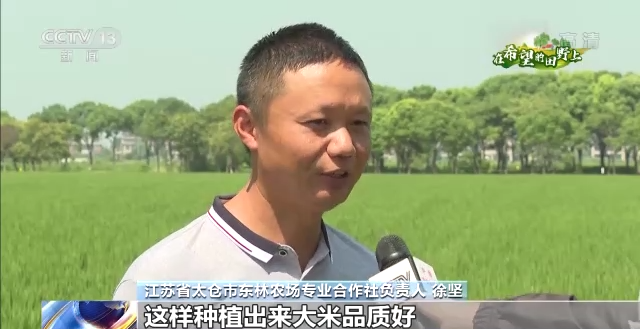 在希望的田野上丨優化品種結構 促進糧食豐產農民增收