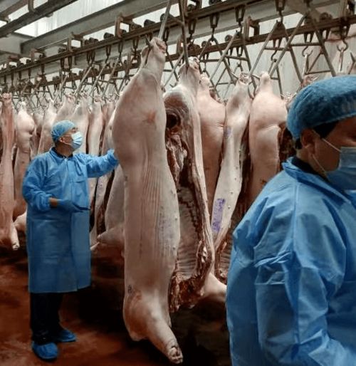科技監管保障首都屠宰畜禽產品質量安全