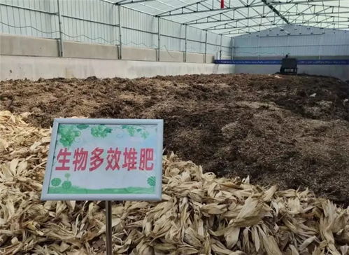 青島 創新工作方法 讓垃圾分類 難點 變 亮點