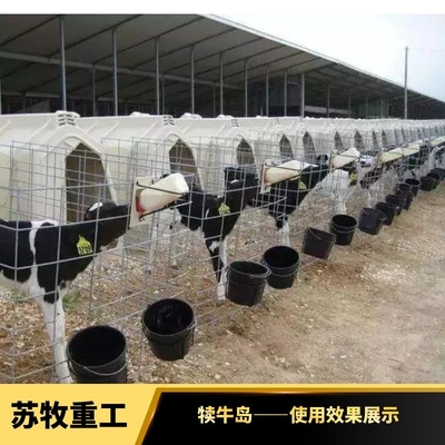 蘇牧重工小牛戶外飼喂犢牛島 隔熱防潮單獨喂養小牛舍犢牛籠
