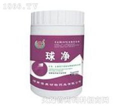 球凈 主治雞冠蒼白 下痢 西紅柿醬樣糞便 產品圖片