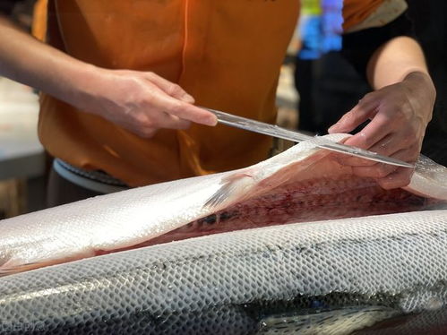 國內 肉價跌,魚價漲,國外 魚價和魚價一起漲