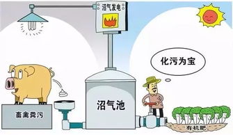 好消息 定海被省里評為優秀區,這次是因為