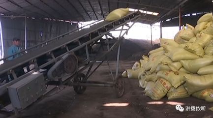他們讓母雞住進三層“小樓”,還因這一舉動獲省考核優秀