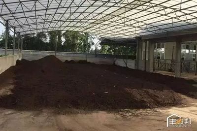 一掃而過的環保風暴養殖戶損失慘重,有機肥原料短缺_財經_網