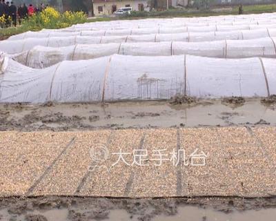 西洽會:2億元生態環保項目落戶我區