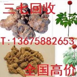 浙江富升農產品中草藥回收收購加工