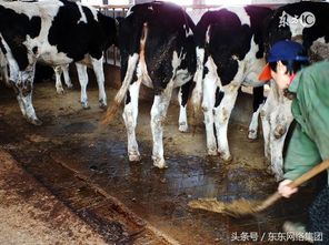 1000億元的畜禽養殖補貼將被取消