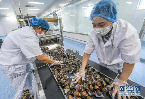 王鳳忠 農產品加工業要關注 三個蘋果 模式