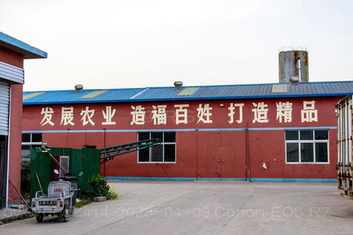 畜禽糞便做肥料,旱地小米市場俏丨安陽眾興米業(yè)