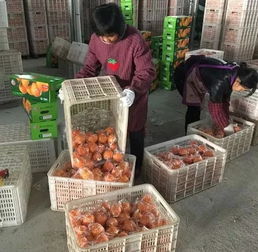 第一次賣臍橙就賣出一個(gè)億的 90 后小伙,還和菜鳥干了件大事