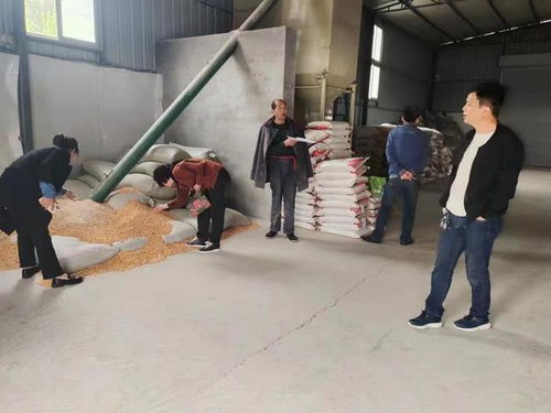 韓城市畜牧中心 落實安全用藥技術管控 嚴把畜禽產品質量安全關 圖