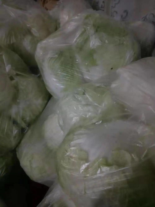 新鮮草莓 香油 白菜 笨鴨子......這些農(nóng)產(chǎn)品急需收購 丨助農(nóng)直通車 第二十三期