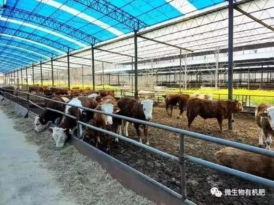 這五類農業廢棄物有望變廢為寶!_財經_網