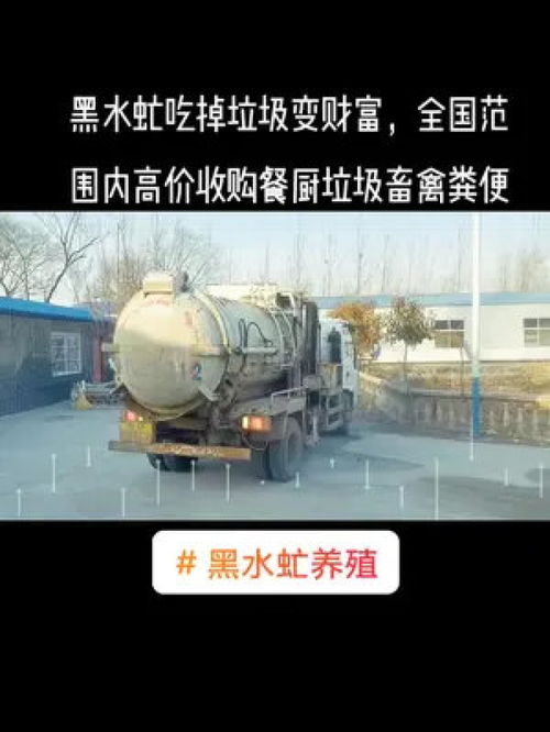 循環農業 黑水虻吃掉垃圾變財富,全國范圍內高價收購餐廚垃圾畜禽糞便 黑水虻
