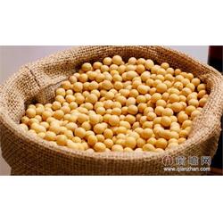 大豆 長期求購大豆 壟上畜禽養(yǎng)殖 優(yōu)質(zhì)商家