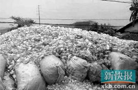 廣東揭西10噸未經處理醫療垃圾藏于深山老林