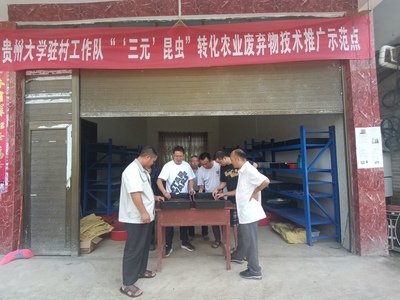 天眼新聞客戶端:用好農(nóng)業(yè)廢棄物,牽住綠色發(fā)展“牛鼻子”--貞豐縣持續(xù)探索“蟲”經(jīng)濟