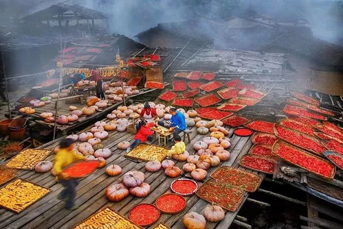 麗水山耕30個拳頭產(chǎn)品集中亮相第十六屆中國國際農(nóng)產(chǎn)品交易會