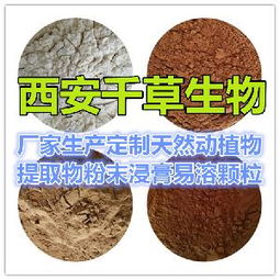 長粒花生 長粒花生價(jià)格 報(bào)價(jià) 長粒花生品牌廠家